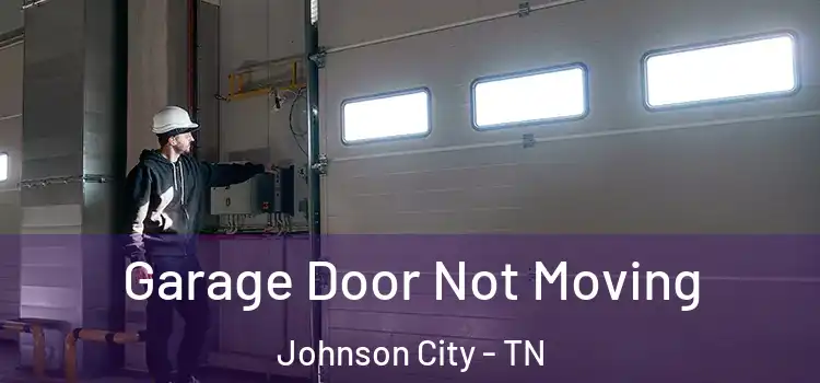  Garage Door Not Moving Johnson City - TN