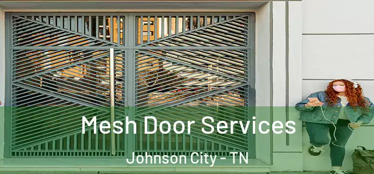 Mesh Door Services Johnson City - TN