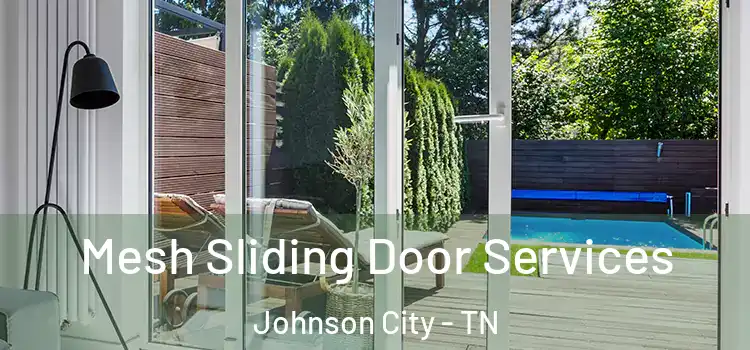 Mesh Sliding Door Services Johnson City - TN